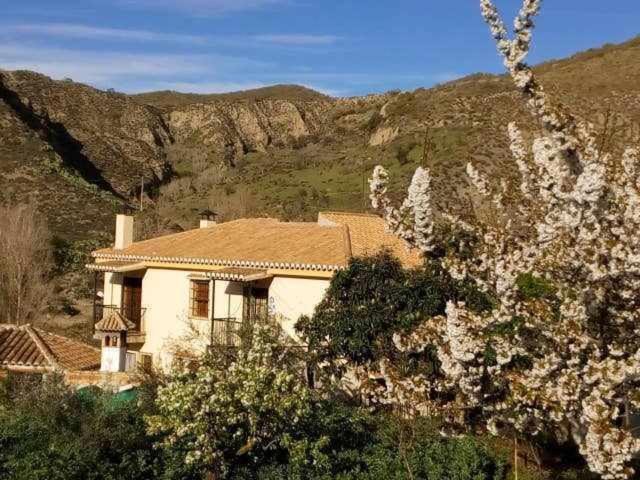 Casa Rural Las Huertas De Roque Monachil Rum bild