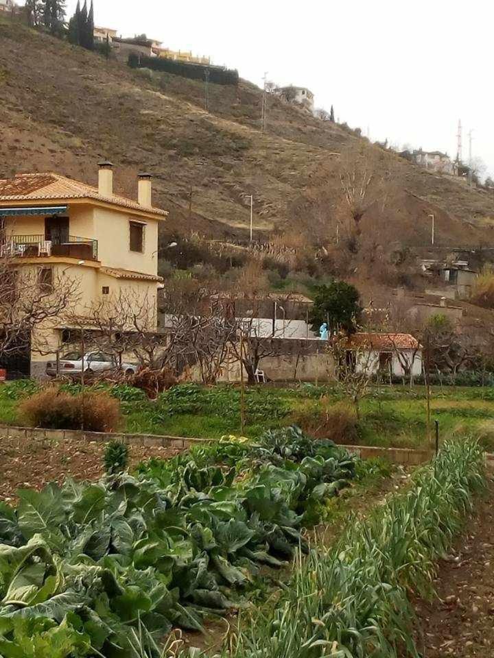 Casa Rural Las Huertas De Roque Monachil Rum bild